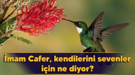 mam Cafer, kendilerini sevenler iin ne diyor?