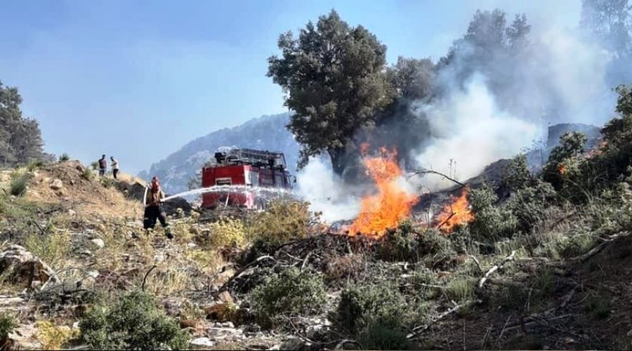 Isparta'da komandolar yang�n b�lgesinde