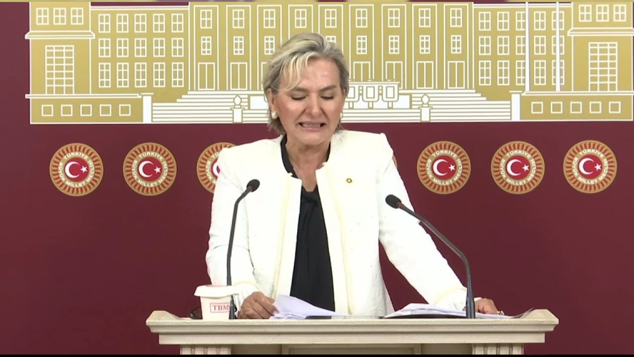 İstanbul Milletvekili Nimet Özdemir, İYİ Partiden istifa etti