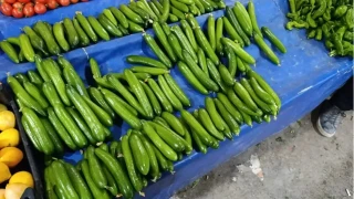 İstanbul'da Şubat ayında en çok salatalık pahalandı