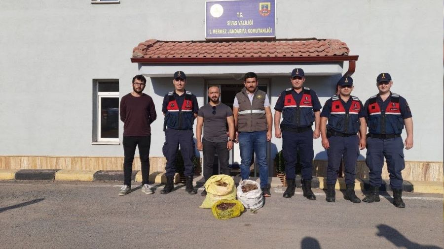 Ka�ak toplanan salebe servet de�erinde ceza