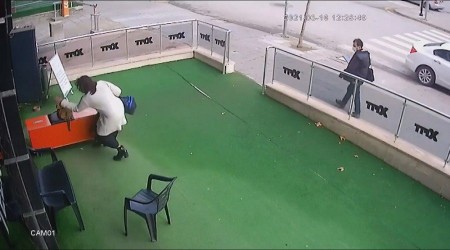 Kadından hamile kediye şiddet