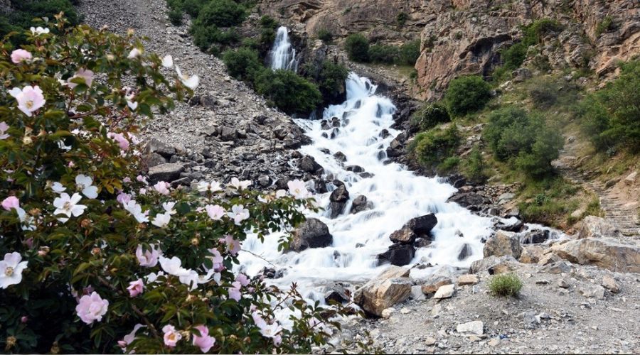 Kanispi �elalesi koruma alt�nda 