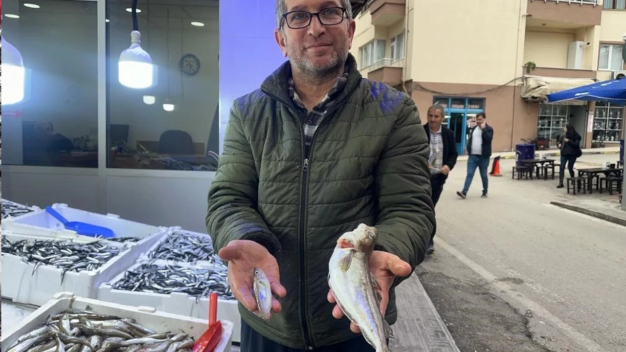 Karadeniz'de 300 gramlk mezgit yakaland