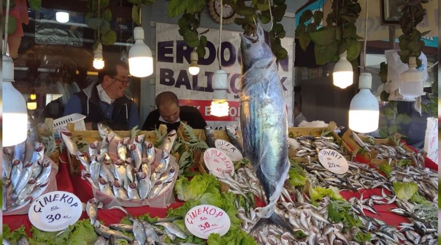 Karadeniz'de torik bereketi