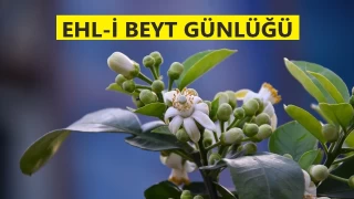‘Kardeşini sevindir, Allah da seni sevindirsin’