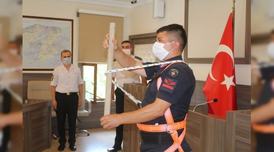 Kastamonu'da 3 yılda 286 kişi ağaçtan düşerek öldü