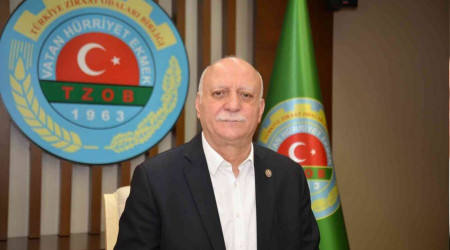 'Kayısıda hasar oranı yüzde 80 civarında'