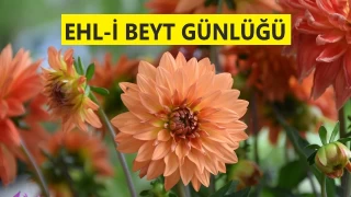 ‘Kelâmın, Resûlullah’ın sözlerine mi dayanıyor?’