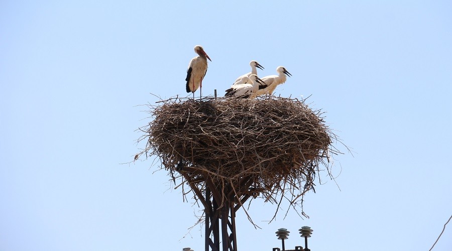 K�rk y�ll�k misafir g��e haz�rlan�yor