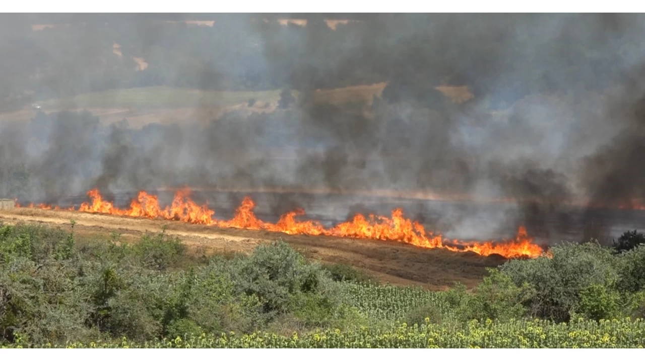 K�rklareli'nde yang�n: 500 dekar tar�m arazisi ve a�a�l�k alan zarar g�rd�
