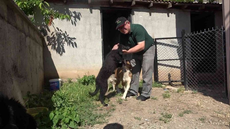 Köpeklerini bulana 5 bin TL ödül verecek