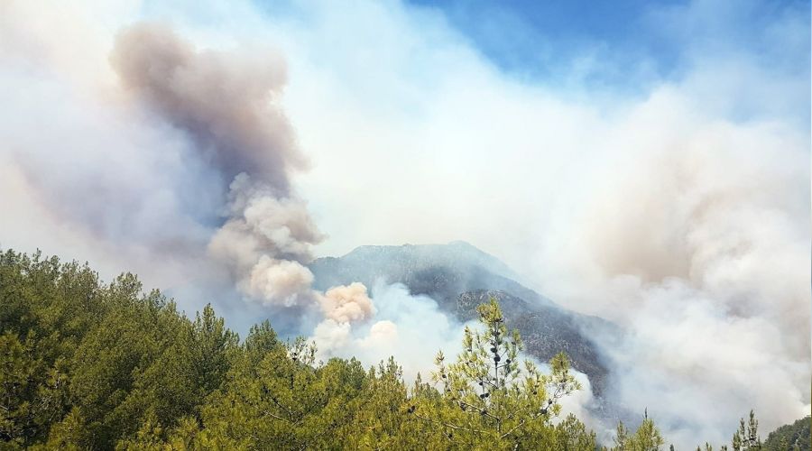 Köyceğiz'de 2 mahalle boşaltılıyor