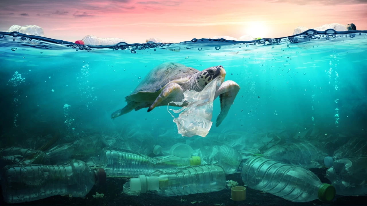Küresel plastik kirliliğinde en büyük sorun Güney Yarımküre