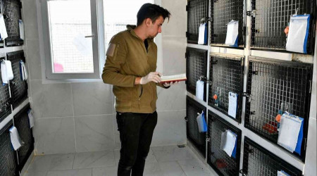 Kuşadası Belediyesi'nden kedilere özel tedavi ünitesi