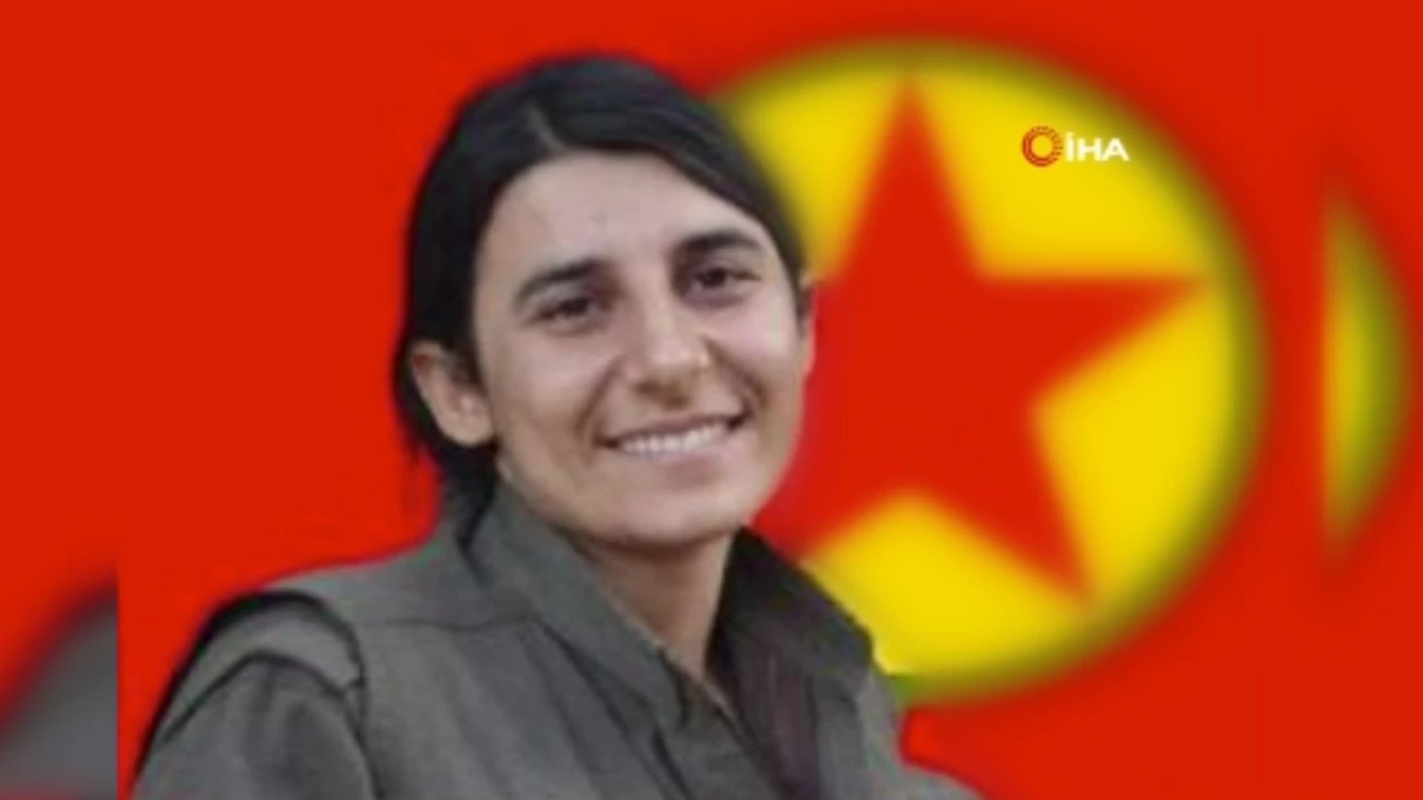 MİT'ten, PKK/KCK'nın sözde gençlik sorumlusuna nokta operasyon