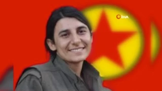 MİT'ten, PKK/KCK'nın sözde gençlik sorumlusuna nokta operasyon