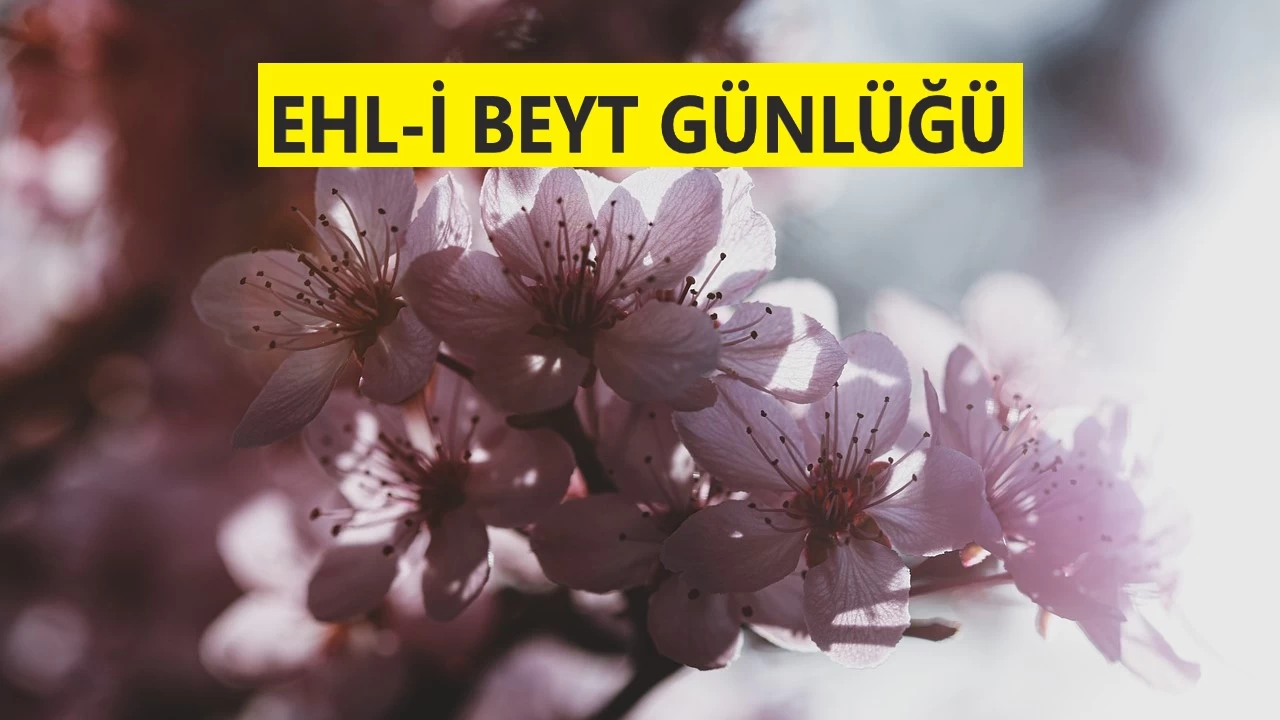 Mü’min şerre vesile olmaz