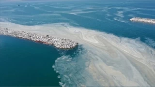 Müsilaj Marmara'da yayılıyor