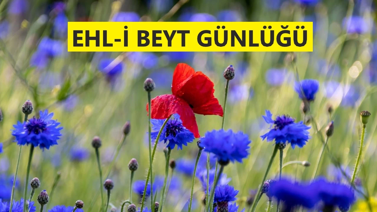 'O cennet g�llerinin en �st�n�d�r'