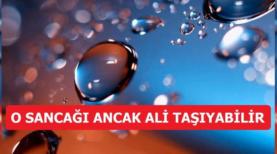 O sanca ancak Ali tayabilir