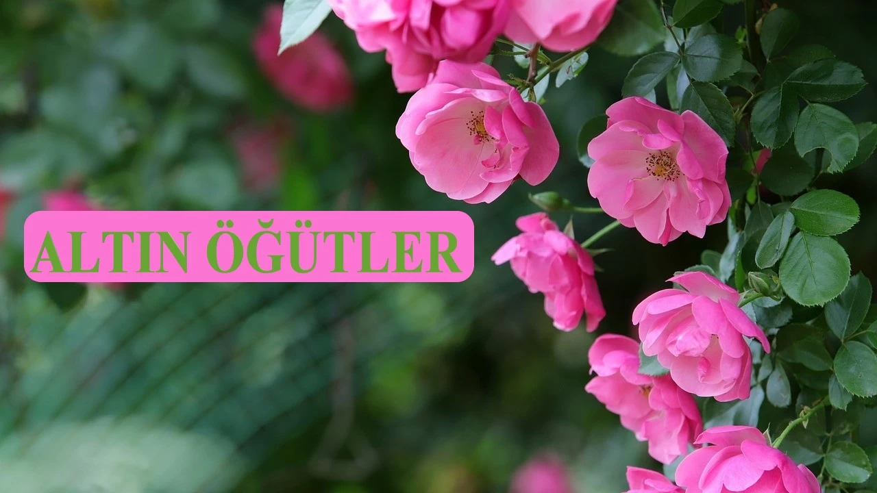 Oburluk, anlayış kabiliyetini köreltir