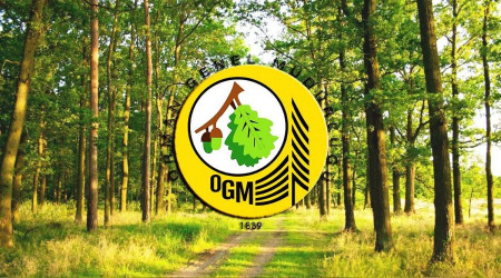 OGM sözleşmeli personel alacak