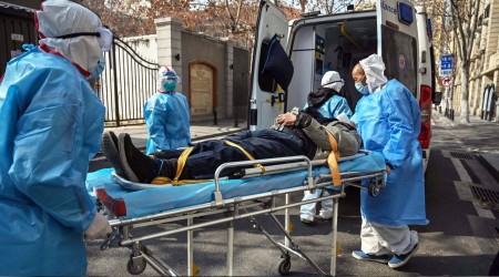 Ölü ayısı hızla artıyor