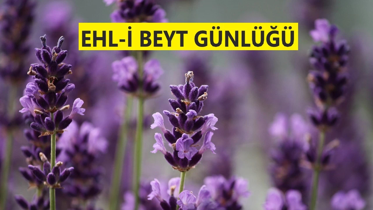 Onlara Arn etrafnda minberler kurulacak