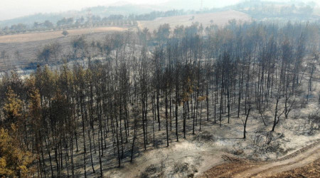 Osmaniye'deki orman yangnnda yanan alanlar havadan grntlendi