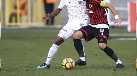 Paa'nn konuu Genlerbirlii