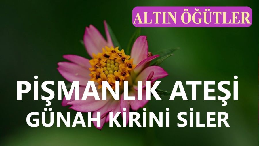 Pi�manl�k ate�i g�nah kirini siler