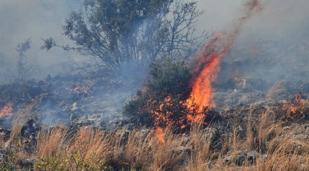Priene Antik Kenti alevler arasında