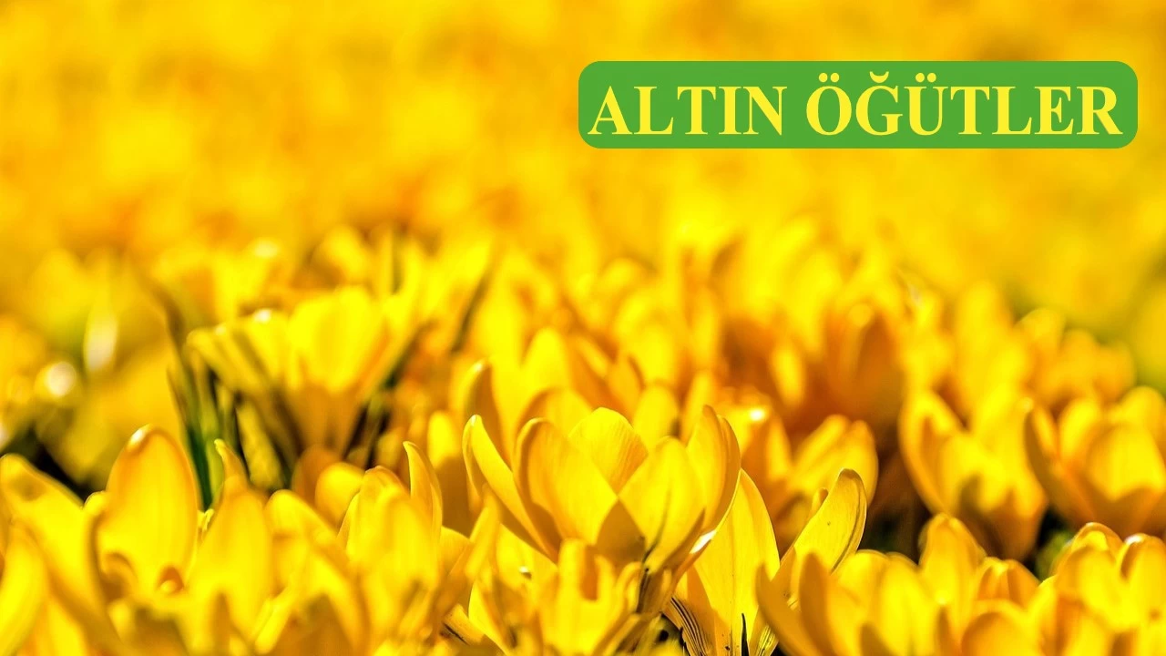 Rahmet ve mağfiret iklimine merhaba