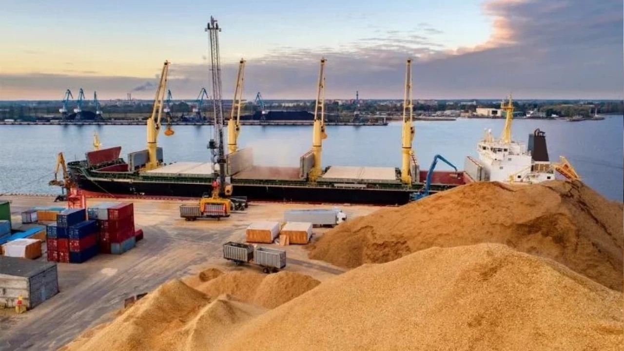 Rusya, Afrika'ya bedelsiz 200 bin ton tah�l sevkiyat� yapt�