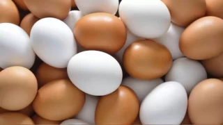 Sağlığımıza çok faydalı olan yumurtanın kalitesi önemli