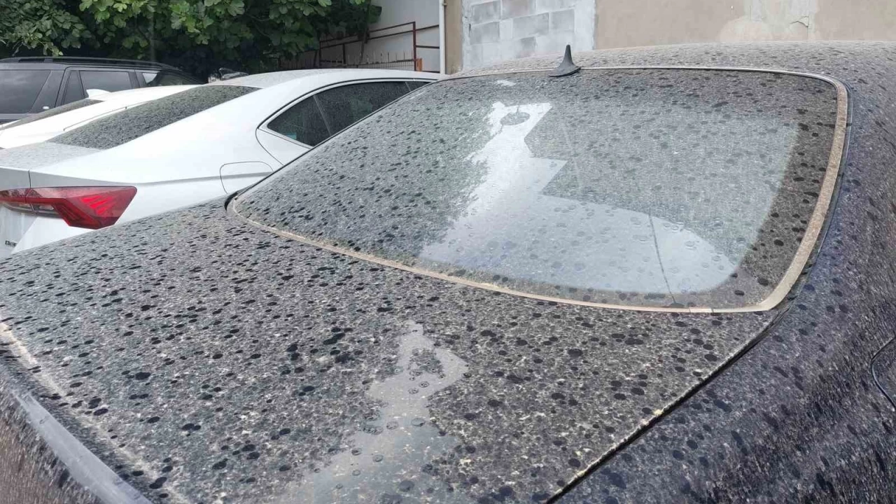 Sakarya'da araçlar çamurla kaplandı