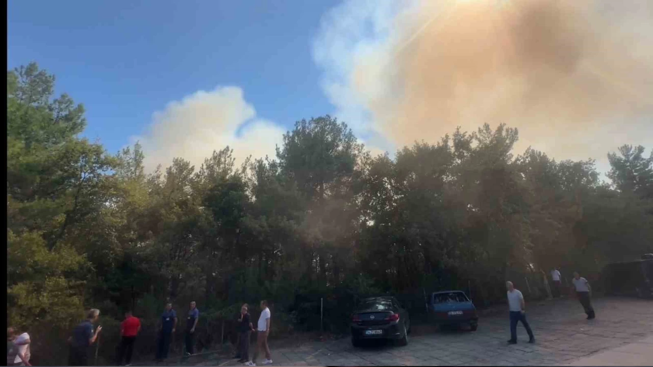 Samsun'da üniversite kampüsünde orman yangını