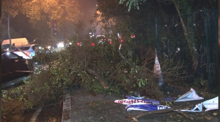 Sarıyer'de ağaçlar yola devrildi