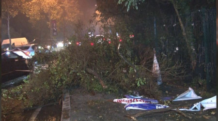 Sarıyer'de ağaçlar yola devrildi