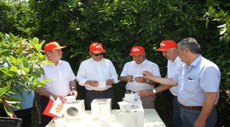 "Savaşçı böcekler" çiftçiye yardıma geldi