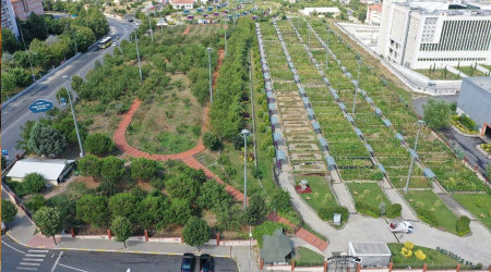 Şehrin ortasında organik tarım