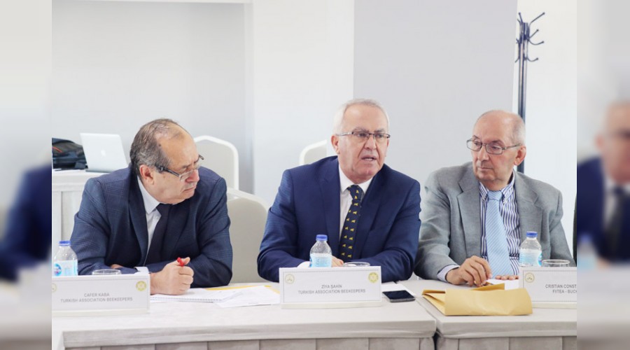 Sekiz �lkenin ar�c�lar� bir araya geldi