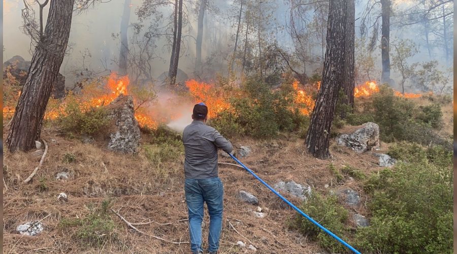 Seydikemer yangını rüzgarın şiddeti ile büyüyor