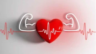 Sıcak Havada Spor Kalbi Zorluyor Egzersizde Kritik Eşik 32°C