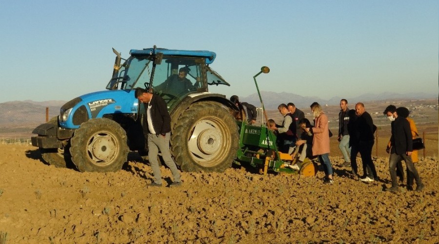 Silvan'da lavantalar kad�n eliyle toprakla bulu�tu