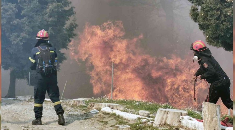 Sisam Adası'nda büyük orman yangını