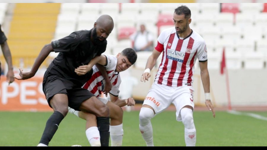 Sivas'ta sessiz gün