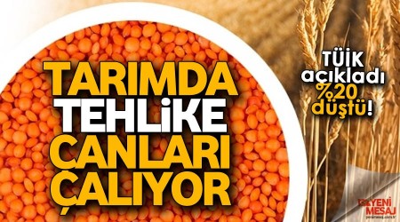 Tarımda tehlike çanları çalıyor