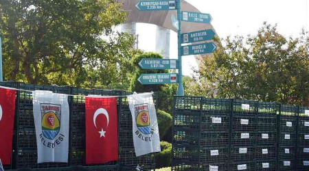 Tarsus Belediyesi, iftilere 500 bin adet karnabahar, brokoli ve marul fidesi datt
